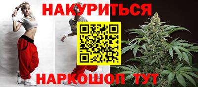 дмт Гай