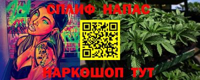 дмт Гай