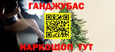 дмт Гай