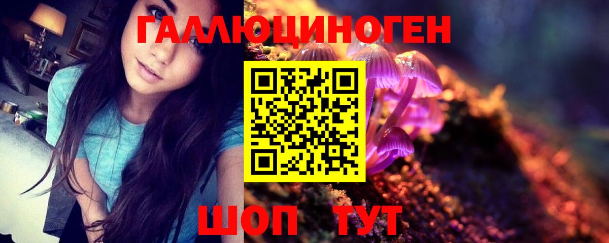 Галлюциногенные грибы прущие грибы Керчь